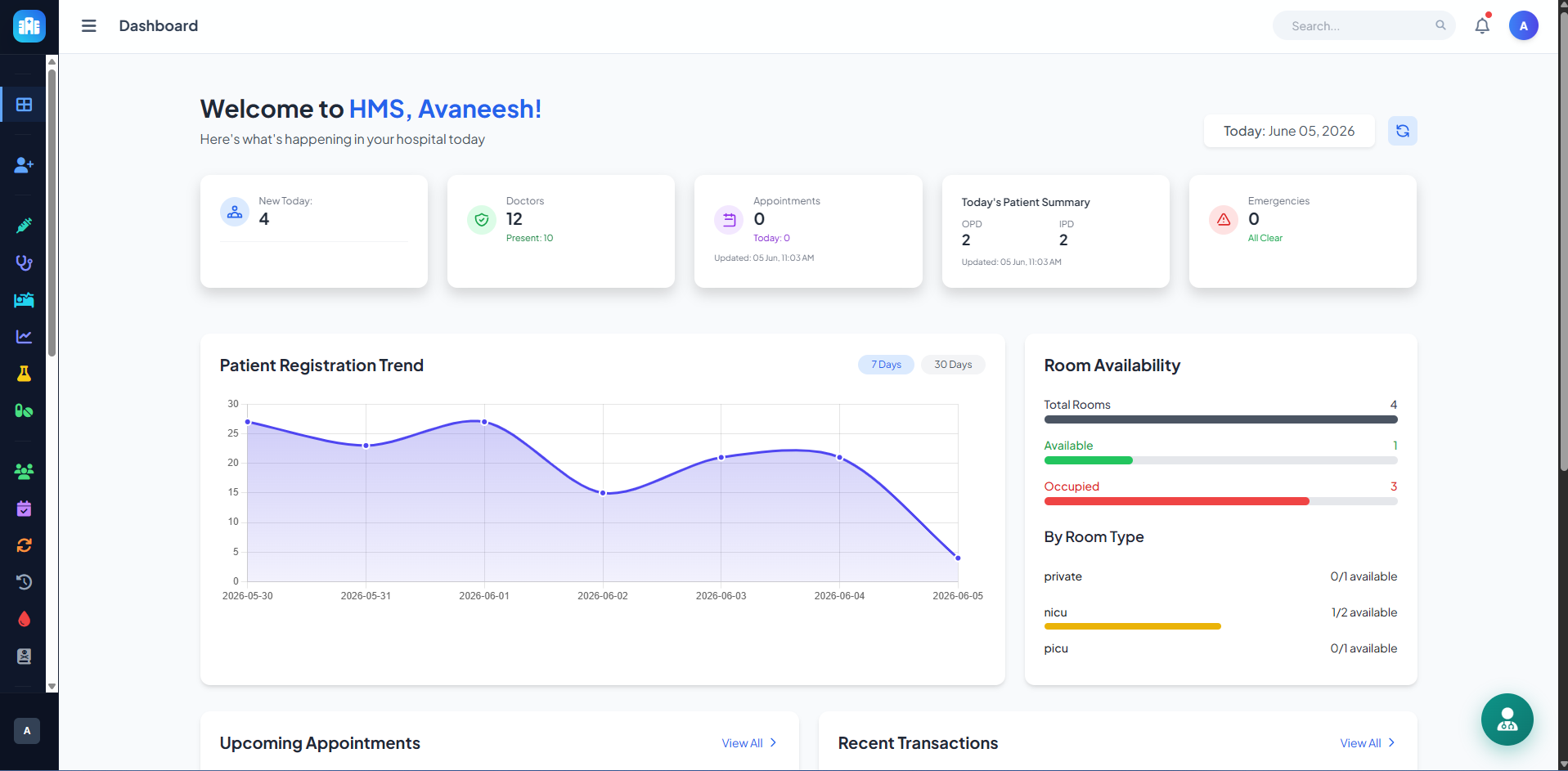 Hospital Management Accounting Summary Interface